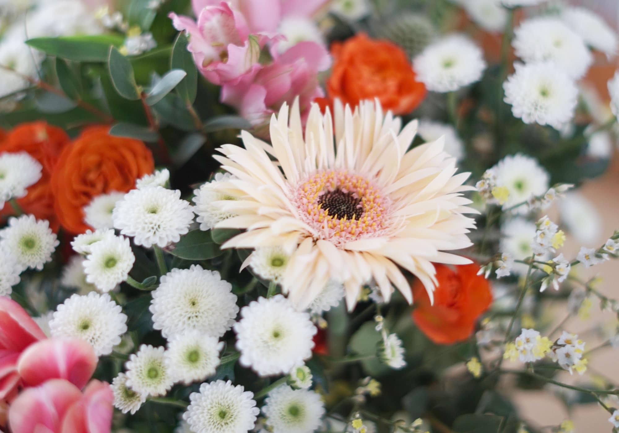 Mon Avis Sur Monsieur Marguerite Box 1 En Bouquets De Fleurs